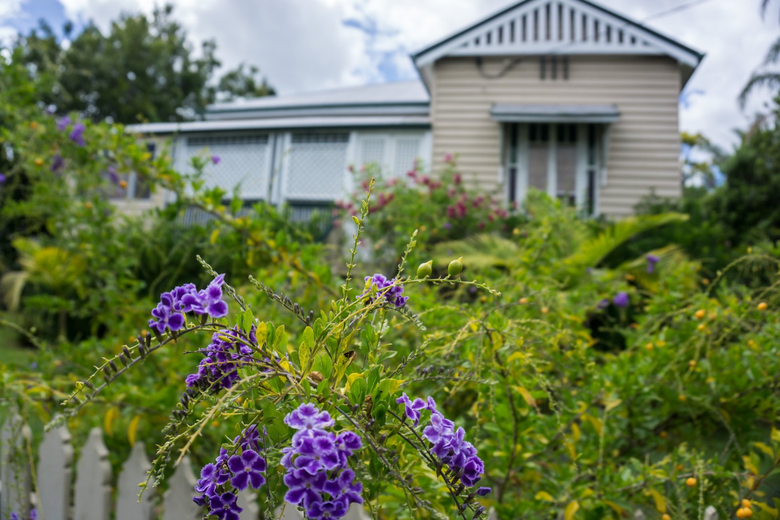 Traditional Queenslander timber home raised on stumps